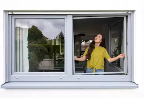 Insektenschutz für Ihre Fenster, HG-Insektenschutz, Schweiz